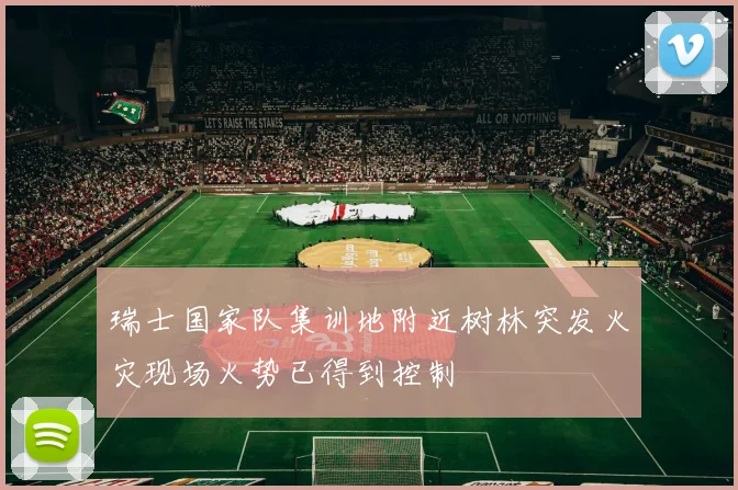 瑞士国家队集训地附近树林突发火灾现场火势已得到控制